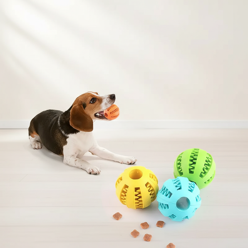 Zabawki dla psa z nowym tłem